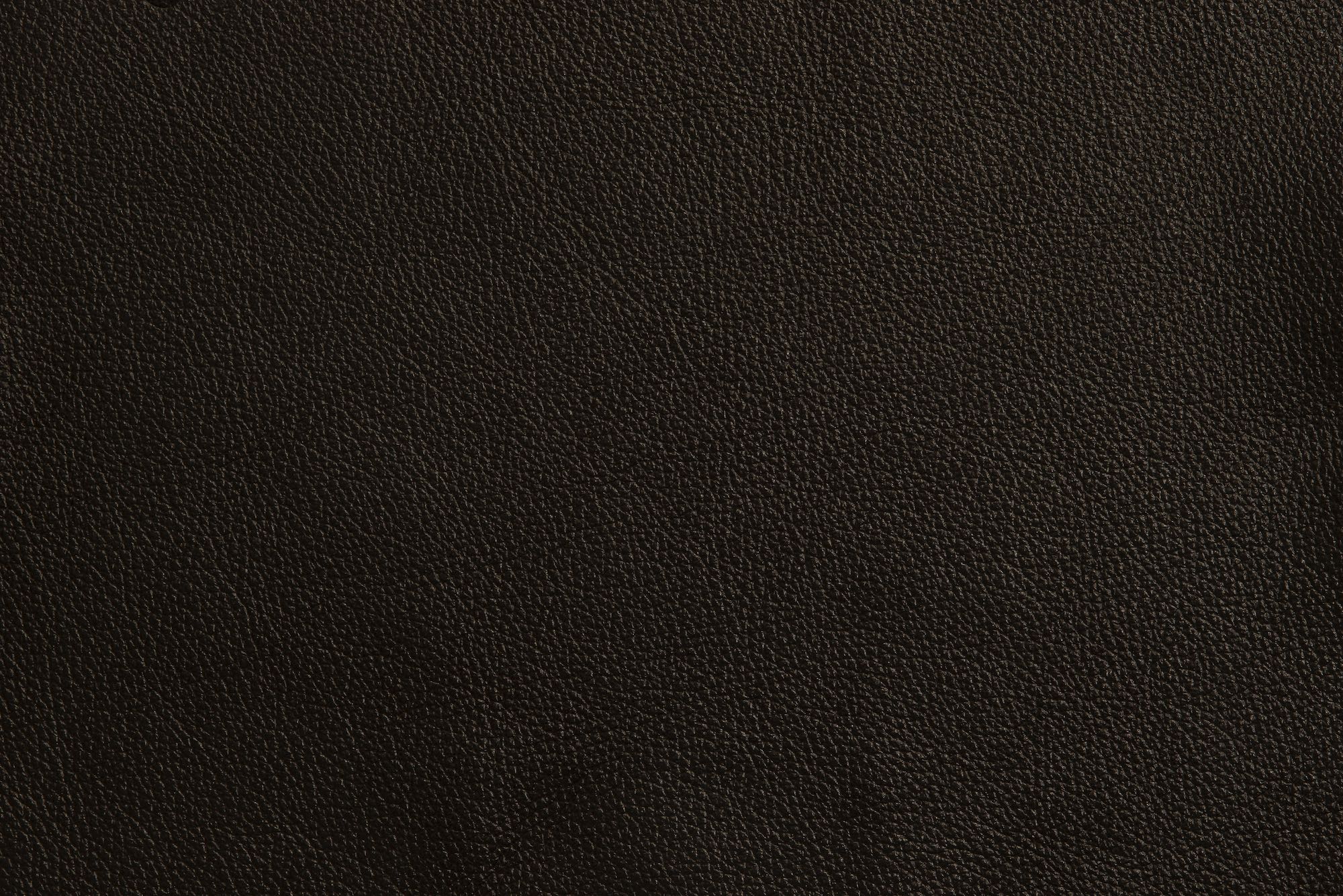 9164B THINBLACKの素材拡大画像